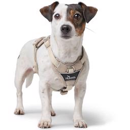Hunter Divo Up Hundsele i Taupe